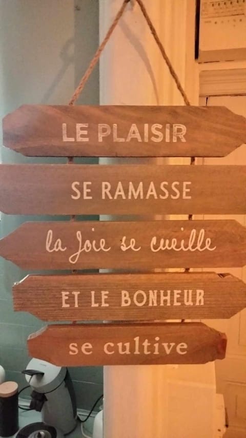 Le nid douillet Champêtre Linge fourni Apartment in Auvergne-Rhône-Alpes