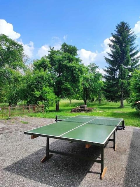 Day, Table tennis