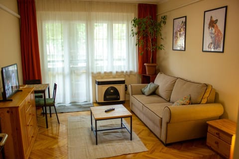 TV and multimedia, Balcony/Terrace, Living room, Seating area