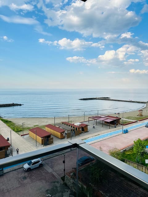 Natural landscape, Beach, Sea view, sunbed