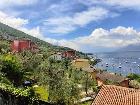 Natural landscape, Lake view