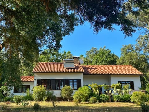 Property building, Garden view