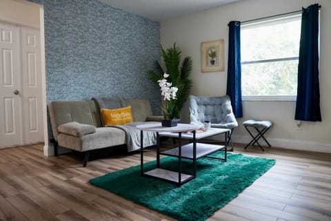 Jay's Cozy Escape Apartment in Tampa