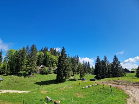 Natural landscape