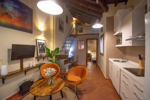 TV and multimedia, Kitchen or kitchenette, Living room, Seating area, Dining area, internet, minibar