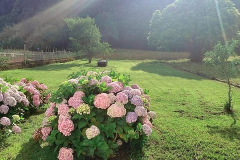 Vivienda completa cerca de la playa House in O Salnés