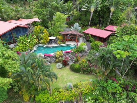 Natural landscape, Garden, Garden view, Swimming pool, sunbed