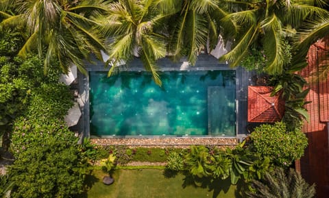 Spring, Day, Natural landscape, Garden, Garden view, Pool view, Swimming pool