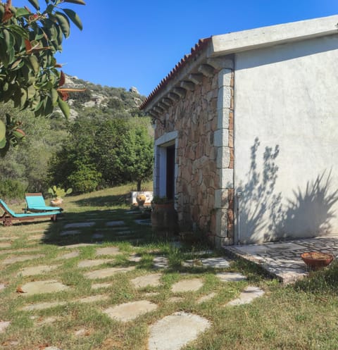 Property building, Spring, Day, Natural landscape, Garden, Garden, Garden view