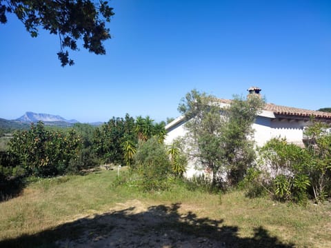 Property building, Spring, Day, Natural landscape, Garden, Mountain view