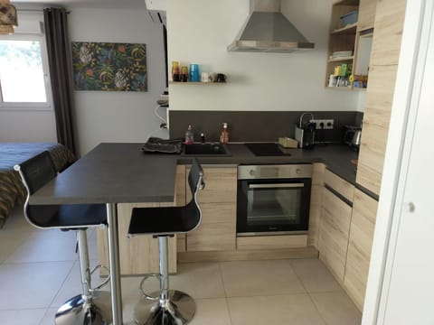 Sanguinaires Apartment in Ajaccio