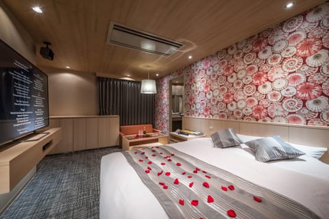 Bed, TV and multimedia, Living room, Bedroom