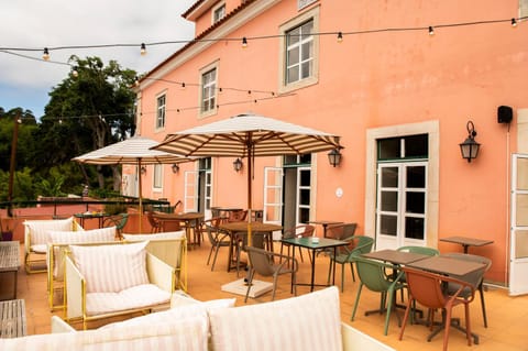 Patio, Day, Balcony/Terrace, Seating area