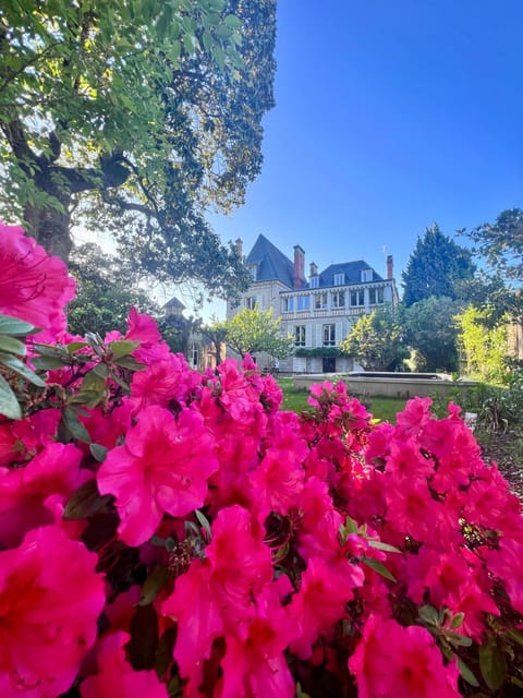 Property building, Spring, Day, Natural landscape, Garden, Garden view