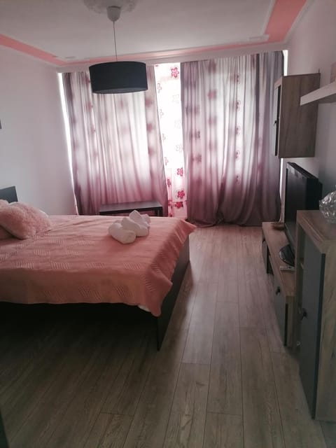 Garsoniera P2 Apartment in Craiova