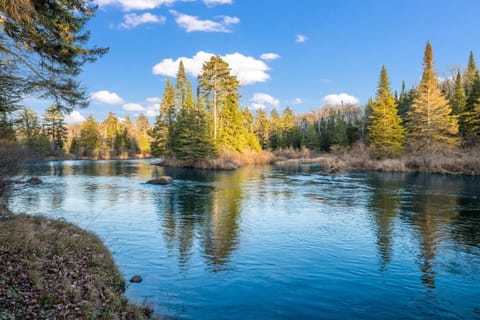 Natural landscape, River view, River view