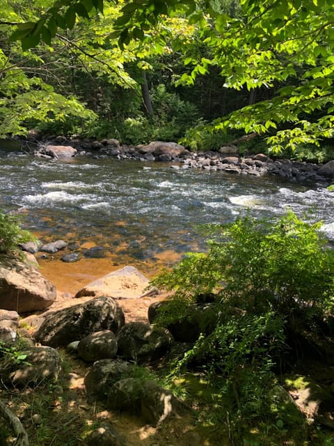 Lake view, River view