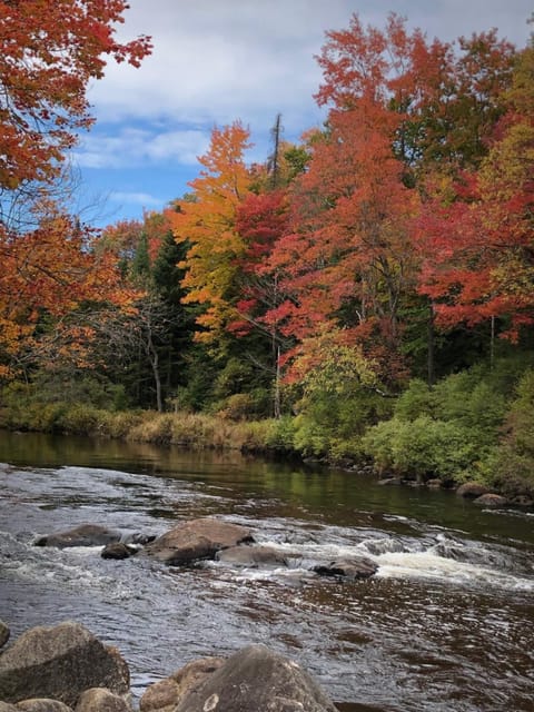 Natural landscape, River view