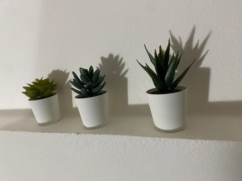 Il Profumo dei Tigli Apartment in Imola