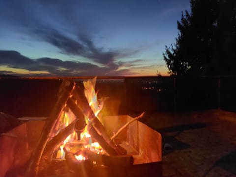 Vila Teja House in Novi Sad