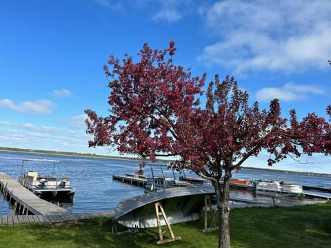 Lake view