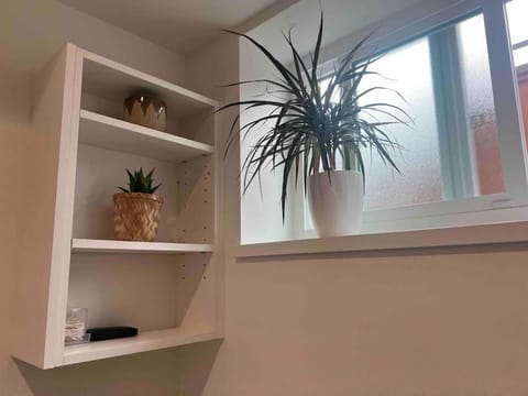 Newly Renovated Walkout Basement in Vancouver with Separate Entrance Bed and Breakfast in Vancouver