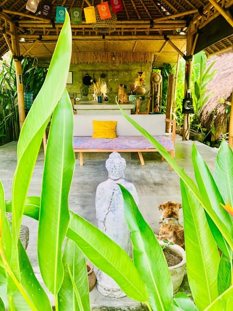 Patio, Day, Dining area