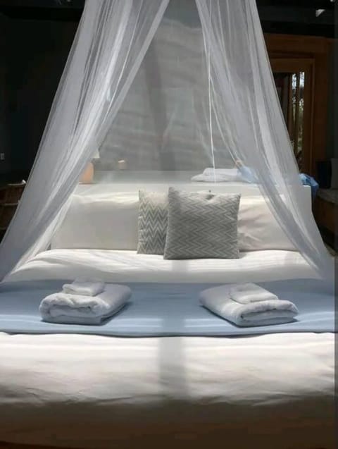 Francis Lane Tiny Studio House in South Bruny