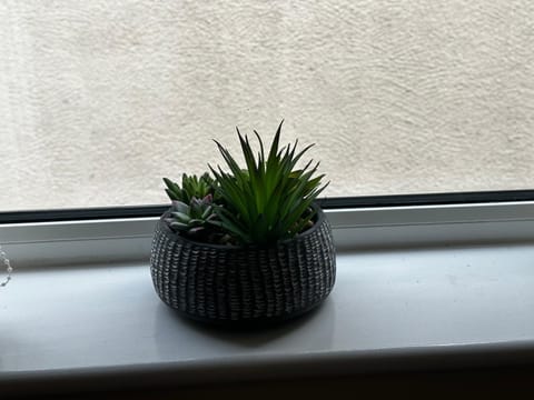 Safari Avenue one Bedroom Apartment Apartment in England