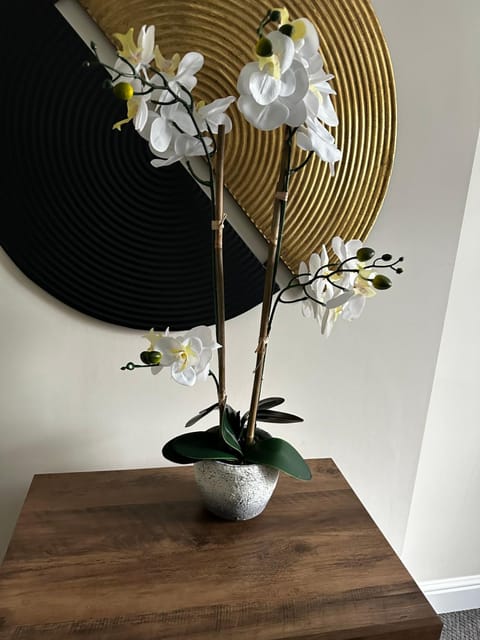 Safari Avenue one Bedroom Apartment Apartment in England