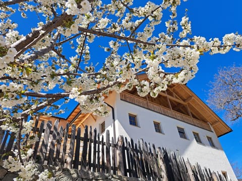 Property building, Spring