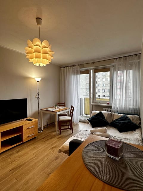 Bed, TV and multimedia, Living room, Photo of the whole room, Decorative detail, Decorative detail, Seating area, Bedroom, towels, towels