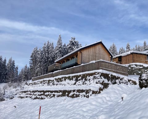 B-Lodge Kärnten House in Friuli-Venezia Giulia