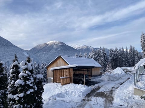 B-Lodge Kärnten House in Friuli-Venezia Giulia