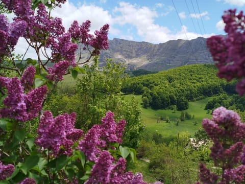 Čemerno Cottage House in Montenegro