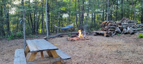 Private place for rest in the forest Tent 1 Forrest Cump Luxury tent in Caldwell