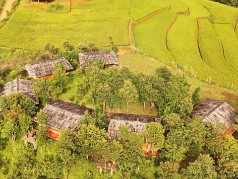 Day, Natural landscape, Bird's eye view