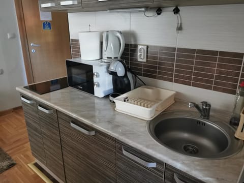 Coffee/tea facilities, Kitchen or kitchenette, minibar, oven, stove