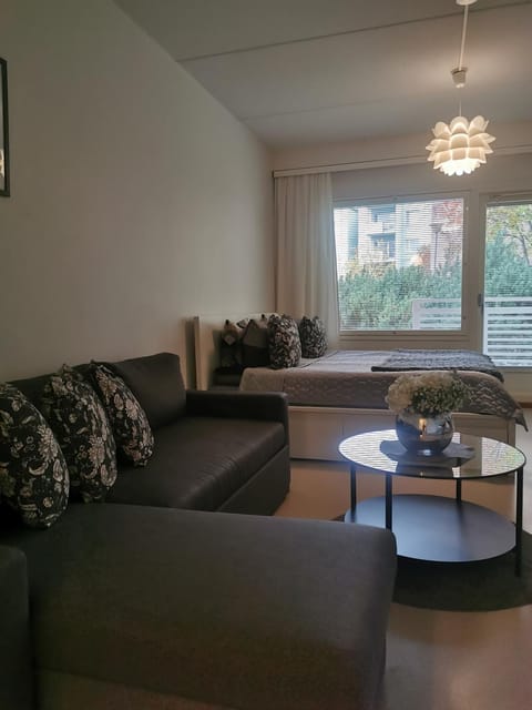 Annalan Helmi - Viihtyisä koti hyvillä kulkuyhteyksillä ja saunalla Apartment in Finland