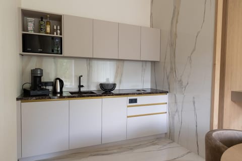 Kitchen or kitchenette, minibar, stove