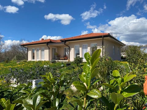 Property building, Spring, Day, Garden, Garden view