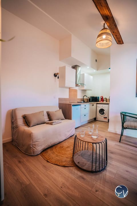 Studio centre-ville (Ecusson) Apartment in Nimes