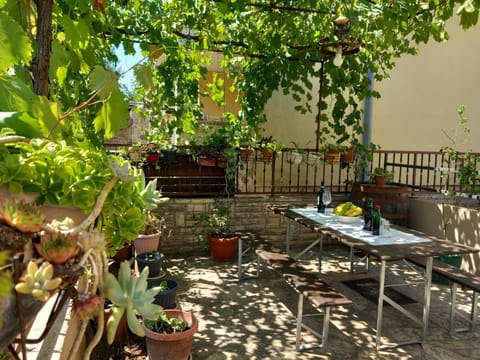 Apartman Oli Apartment in Zadar