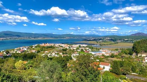 Natural landscape