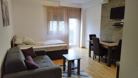 Šarm studio 101 Apartment in Zlatibor