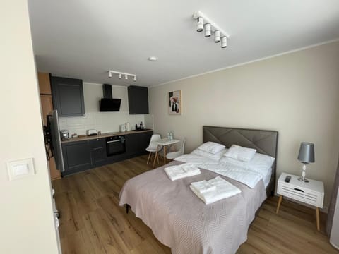 Bed, Kitchen or kitchenette, Photo of the whole room, Bedroom, stove, towels