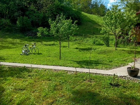 Day, Natural landscape, Garden, Garden view