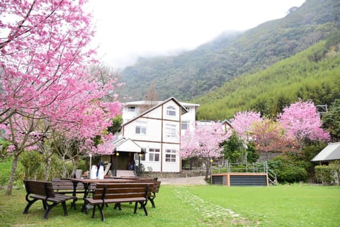 Natural landscape