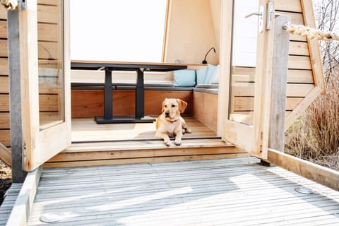 Pets, Pets, pet friendly