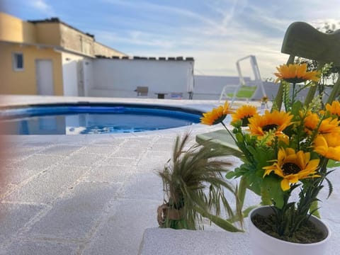 Patio, Day, Pool view, Swimming pool, sunbed